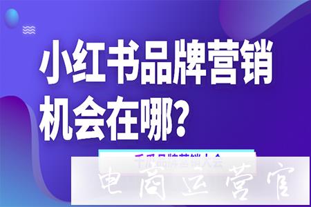 直播卷出新高度！小紅書品牌營銷機(jī)會(huì)在哪里?